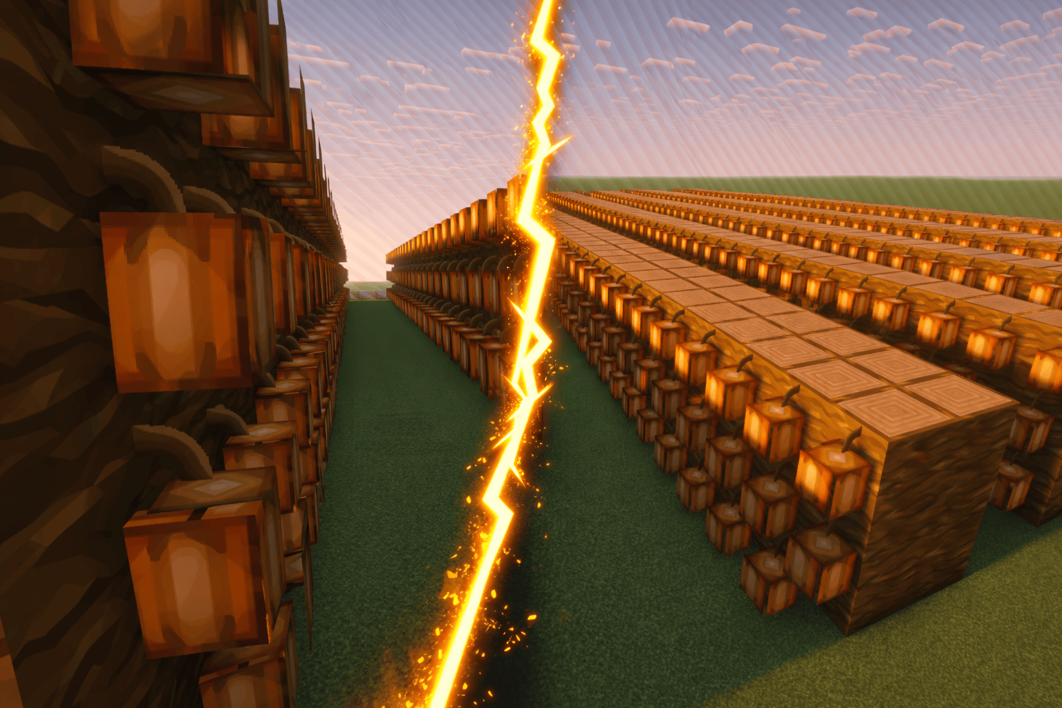 Farm de Fèves de cacao