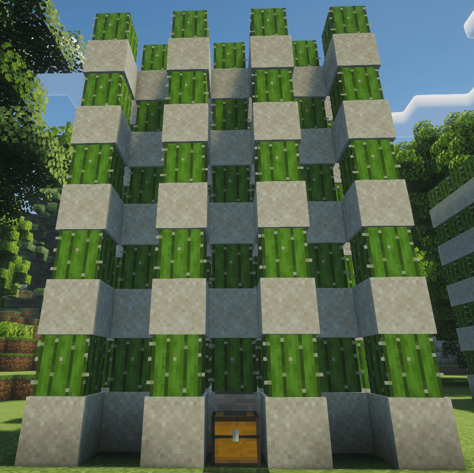 Niveau 1 – Disposition en damier